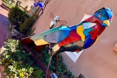 IMG_5505
