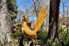 IMG_5511