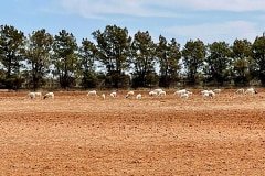 IMG_5408