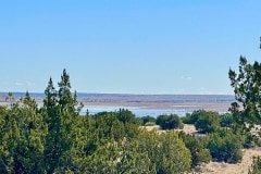 IMG_5478