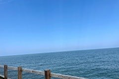 IMG_6249