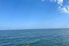 IMG_6250