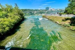 IMG_6264