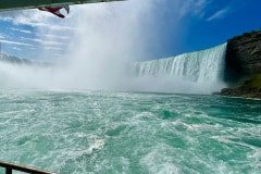 IMG_6271