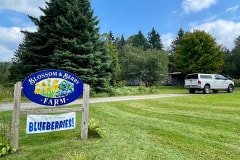 IMG_6555
