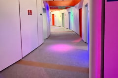 IMG_6521