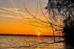 4E5BF35D-4CCD-4F67-B769-DDF9B9127931