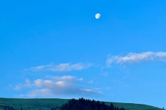 IMG_5890