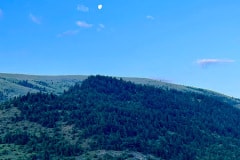 IMG_5891