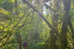 IMG_5977