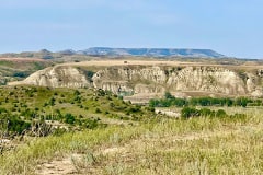 IMG_6047