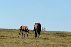 IMG_6048