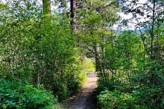 IMG_5927
