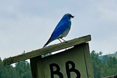 IMG_5868