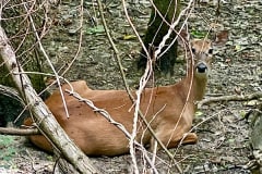 IMG_5783