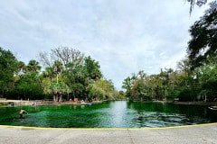 IMG_7865