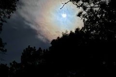 IMG_7869