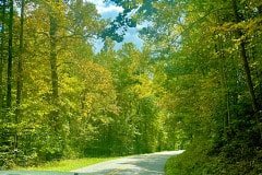 IMG_7455