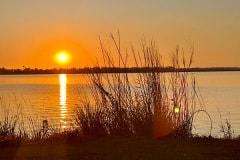 IMG_7799