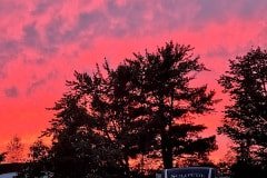 IMG_6726