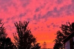 IMG_6727
