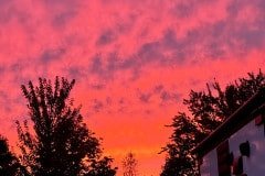 IMG_6728