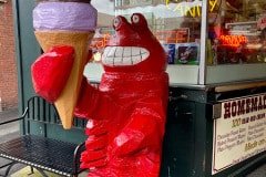 IMG_6732