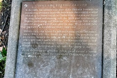 IMG_7381