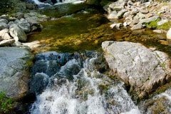 IMG_6615