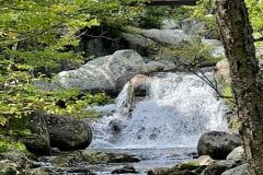 IMG_6618