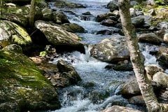 IMG_6619