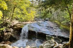 IMG_6625