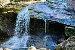 IMG_6627