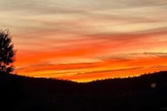IMG_9602