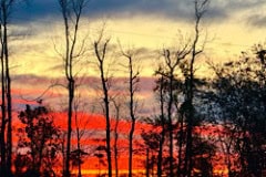 Sunset at Torreya State Park