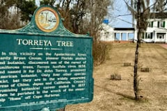 Sign for Torreya Tree