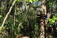 Cypress_glen_hiking_trail_sign2.jpg