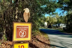 Cypress_glen_speed_limit_sign.jpg