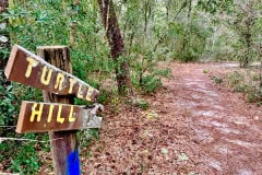 Cypress_glen_turtle_hill_trail_sign.jpg
