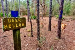 Cypress_glen_deer_hollow_trail_sign.jpg