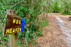 Cypress_glen_hog_heaven_trail_sign.jpg