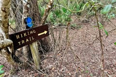 Cypress_glen_hiking_trail_sign.jpg