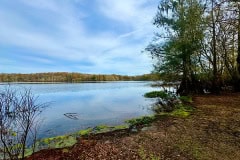 Cypress_glen_silver_lake2.jpg