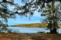 Cypress_glen_silver_lake1.jpg