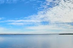 Paynes_Prairie_Highway441_Boardwalk_Panorama.jpg