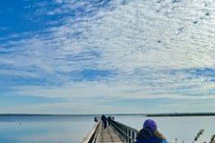 Paynes_Prairie_Highway441_Boardwalk.jpg