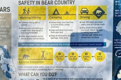 Paynes_Prairie_Bear_Aware_Sign.jpg