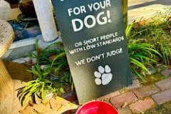 Micanopy_water_for_dog_sign.jpg