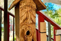 Micanopy_funny_bird_house.jpg