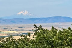 IMG_1991